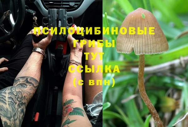 таблы Верхний Тагил
