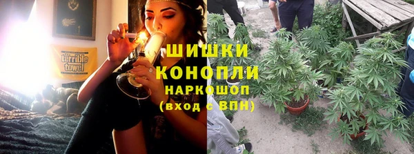 шишки Верея