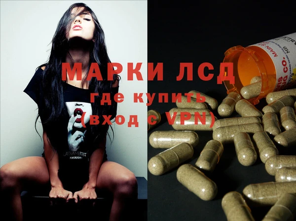 шишки Верея
