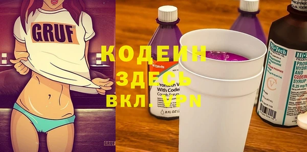 шишки Верея