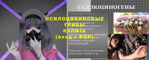 таблы Верхний Тагил