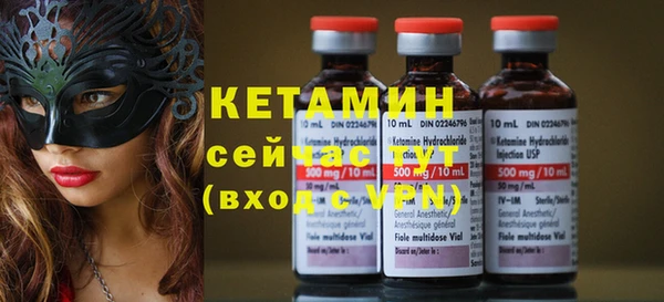 шишки Верея