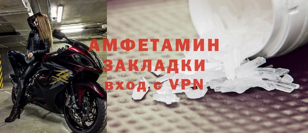 шишки Верея